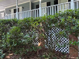 Bush Trimming by Latonya Talley for Brianna B. in Douglasville, GA