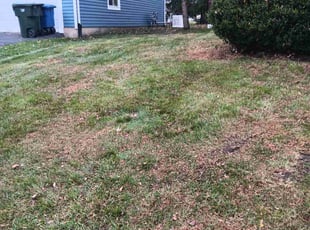 Leaf Removal by Edward Mauler for Khansa F. in Columbus, OH