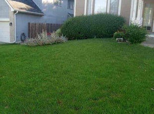 Peggy D.'s Yard Cutting service result