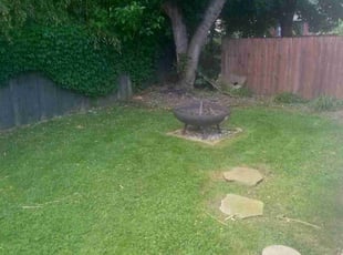 Weeding by Jeremy Zanders for Cory H. in Cleveland, OH