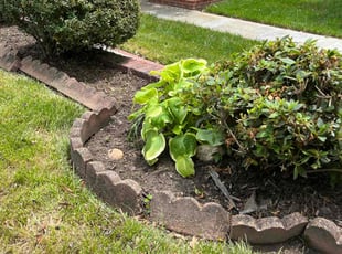 Weeding by Delvon Jones for Arlene P. in Washington, DC