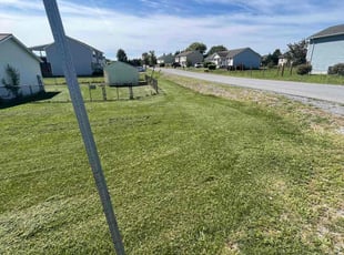 Rachael H.'s Lawn Care service result