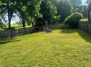 Jodi S.'s Lawn Mowing service result