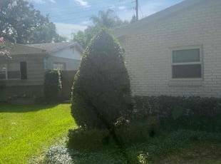 Bush Trimming by Withman Herrera for Dennis B. in Orlando, FL