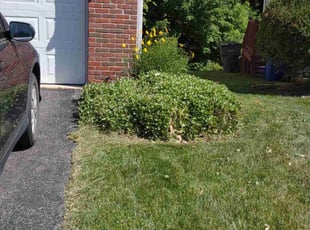 Landscaping by Daniel Bunch for Kevin T. in Columbus, OH