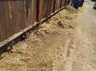 Cleanups by Katrina Keener for Dawnlysette M. in Modesto, CA