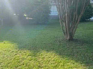 Leaf Removal by Tony Brooks III for Zachary W. in Winder, GA