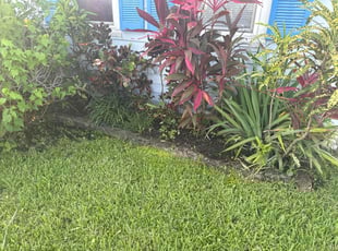 Leaf Removal by Deron Bethel for Patrice C. in West Palm Beach, FL