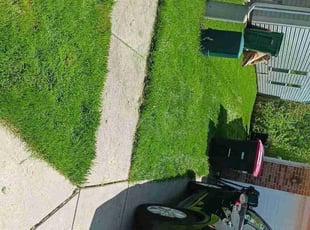 Michael m.'s Grass Cutting service result