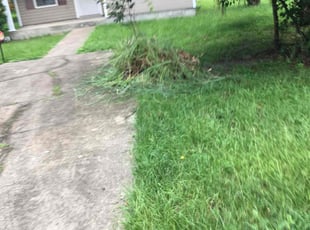 Bush Trimming by Charles Gulley for Cher N. in Pensacola, FL