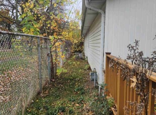 Leaf Removal by Ronnie Anderson for Ingrid L. in Milwaukee, WI