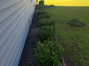 Weeding by Justin Knight for Karl D. in Hanahan, SC
