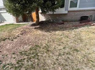 Cleanups by Jesse Nunez for suzanne n. in Parker, CO