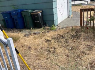 Tai M.'s Weeding service result