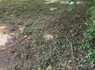 Cleanups by Brian Adkins for Dan s. in Galion, OH