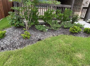 Weeding by Logan Holzmeier for Cierra W. in Cleburne, TX