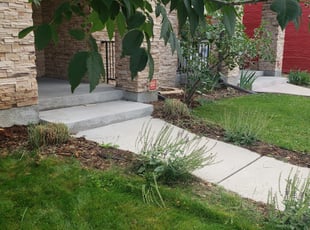 Bush Trimming by Carlos Mendoza for Victoria F. in Denver, CO