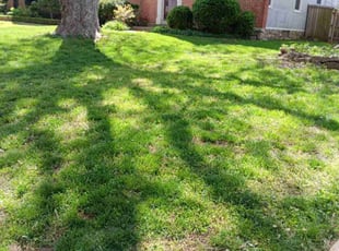 Karen J.'s Grass Cutting service result