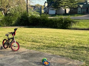 Donneshia M.'s Lawn Service service result