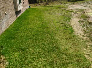 Weeding by Francisco A Monrroy Velasquez for Andre C. in Bulverde, TX