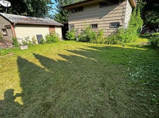 Emmanuel M.'s Yard Cutting service result