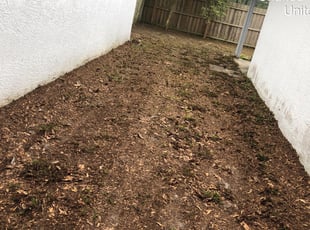 Cleanups by Matthew Hernandez for Steven H. in Orlando, FL