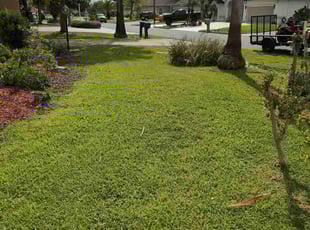 Jon K.'s Yard Cutting service result
