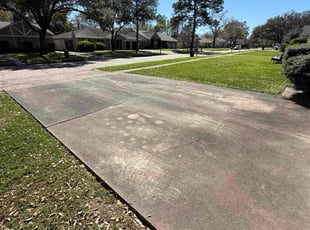 Carolyn G.'s Yard Cutting service result