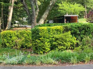 Bush Trimming by Denise Santana for Ioannis I. in Cartersville, GA