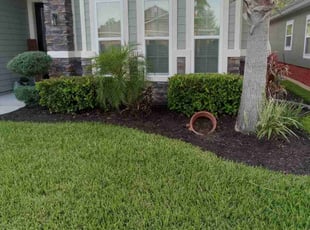 Nicole B.'s Lawn Care service result