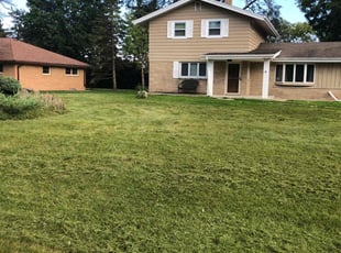 Daniel W.'s Lawn Mowing service result
