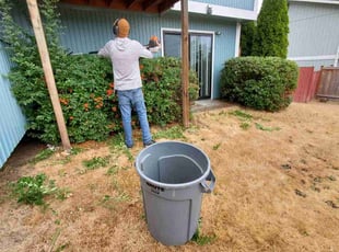 Bush Trimming by Coben Varland for Bethany W. in Bellevue, WA