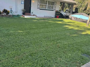 Matthew C.'s Lawn Mowing Service service result