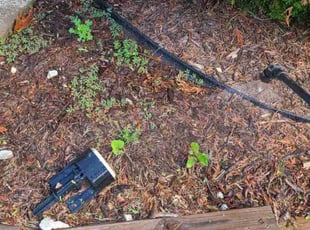 Weeding by Denise Santana for Angela D. in Kennesaw, GA