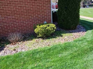 Bush Trimming by Paul Landis for Jose A. in Columbia, MD