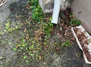 Cleanups by Jason Scott for Adrienne G. in Rockville, MD