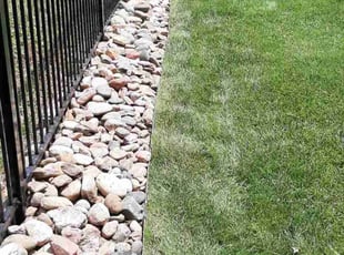 Weeding by Angela Shinaut for Jack C. in Denver, CO