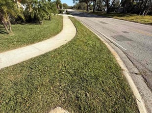 christian S.'s Lawn Service service result