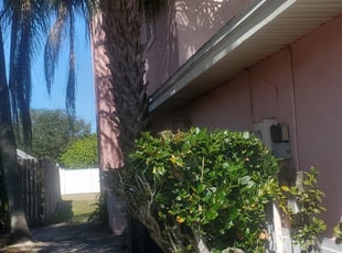 Bush Trimming by Yohan Torres for Julie S. in Auburndale, FL