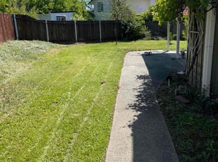 Daniel C.'s Lawn Maintenance service result