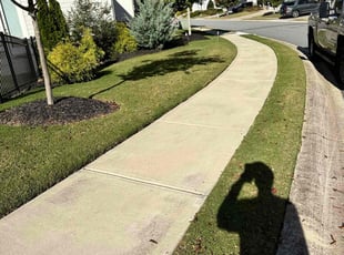 Ron S.'s Lawn Mowing service result