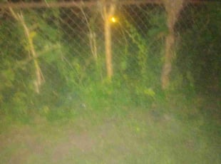 Michelle B.'s Cleanups service result