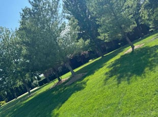 Jay D.'s Lawn Service service result