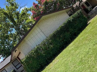 Bush Trimming by Juan Garcia for Michael H. in Richardson, TX