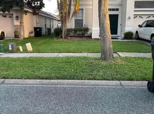 Carolyn C.'s Yard Cutting service result