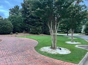 Nancy T.'s Lawn Care service result