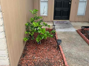 Weeding by Ana Zelaya for Lori B. in Richmond, TX