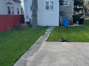 Shannon B.'s Lawn Mowing service result