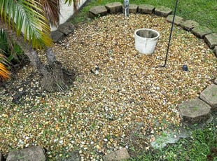 Weeding by Jace Major for Lindsey B. in Margate, FL