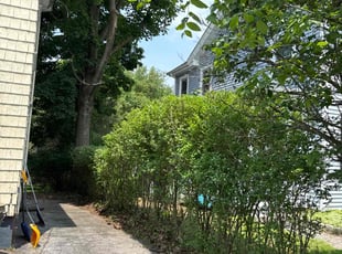 Bush Trimming by Pedro Godinez for Quintara J. in Middletown, NY